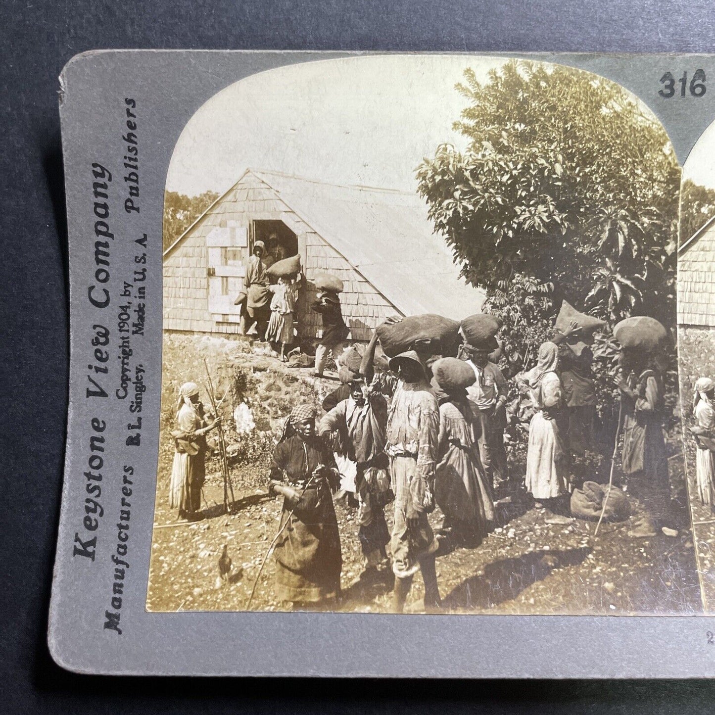 Antique 1904 Coffee Farmers Sell Beans Guadeloupe Stereoview Photo Card P1443