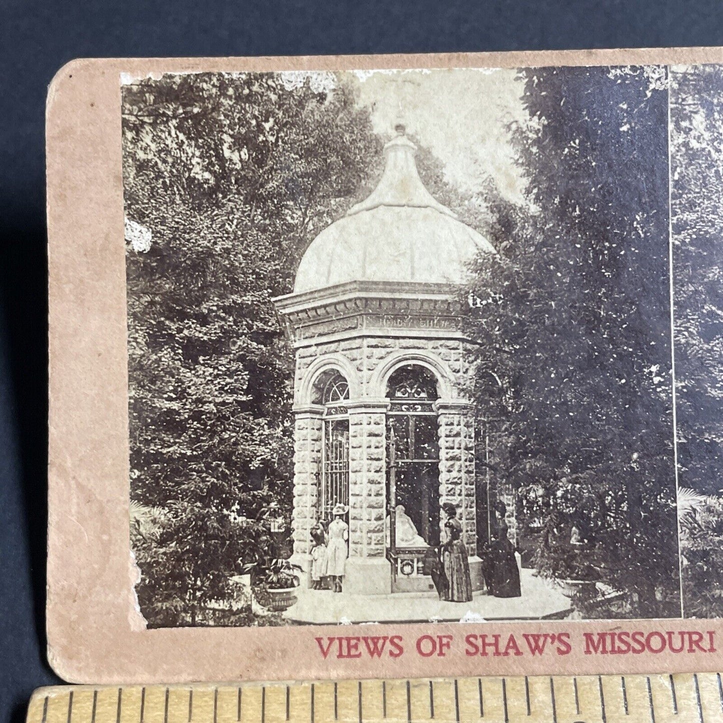 Antique 1870s Shaw's Missouri Botanical Garden Stereoview Photo Card P4873