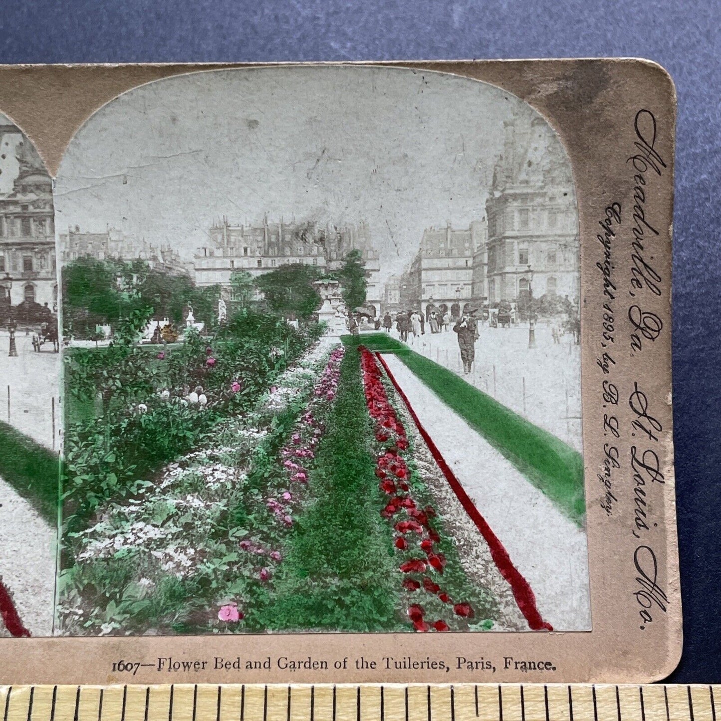 Antique 1895 Gardens In Paris France City Center Stereoview Photo Card V3402