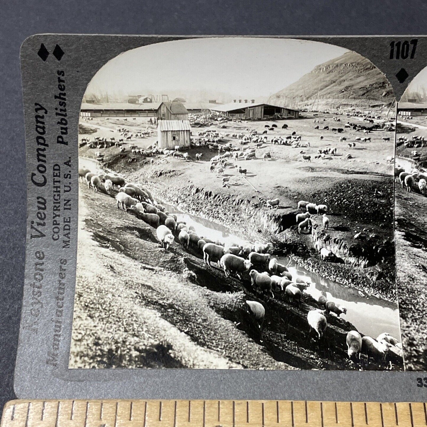 Antique 1930s Sheep Farm In Northwest Idaho Stereoview Photo Card V2656