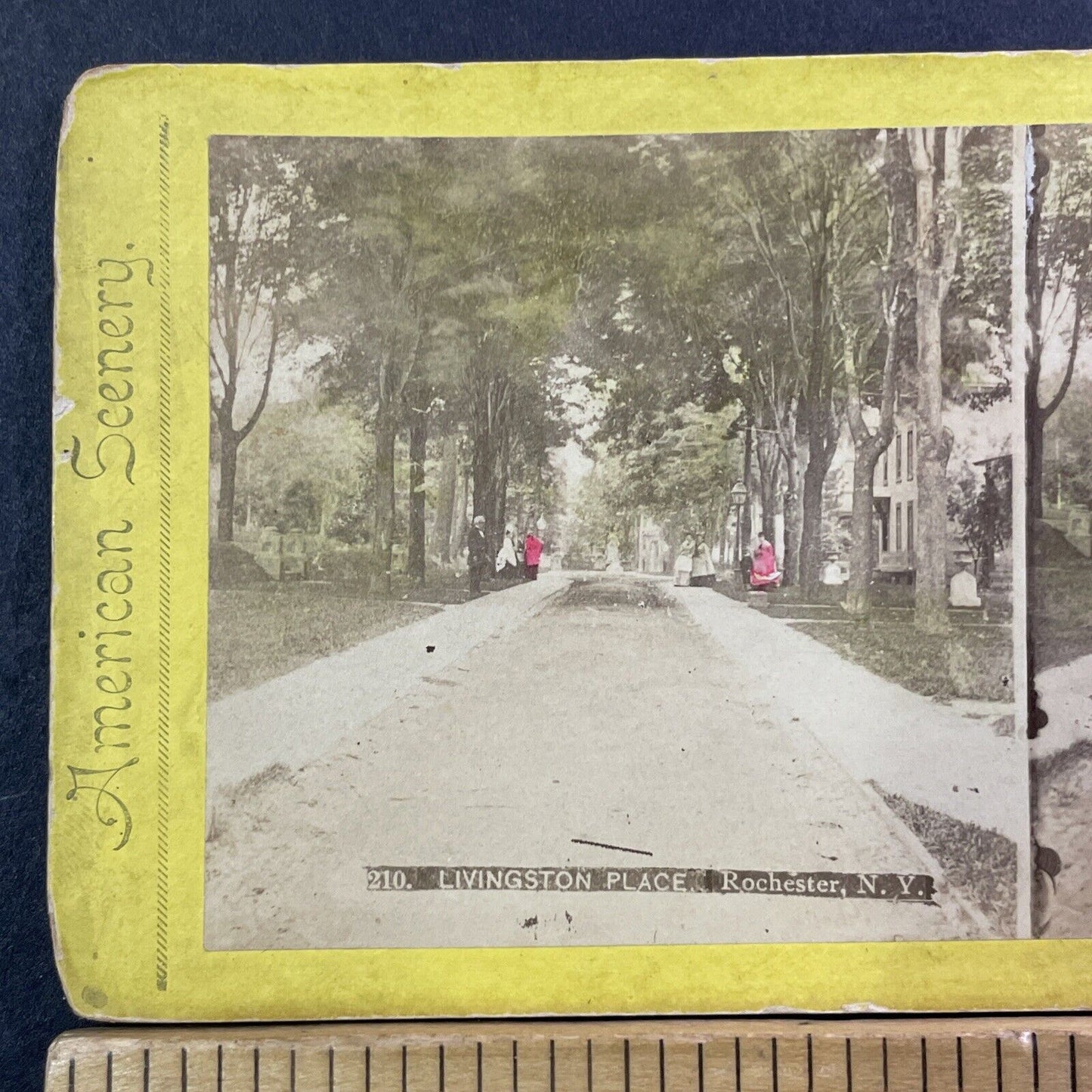 Livingston Park Road Stereoview Rochester NY Photo Card Antique c1875 X989