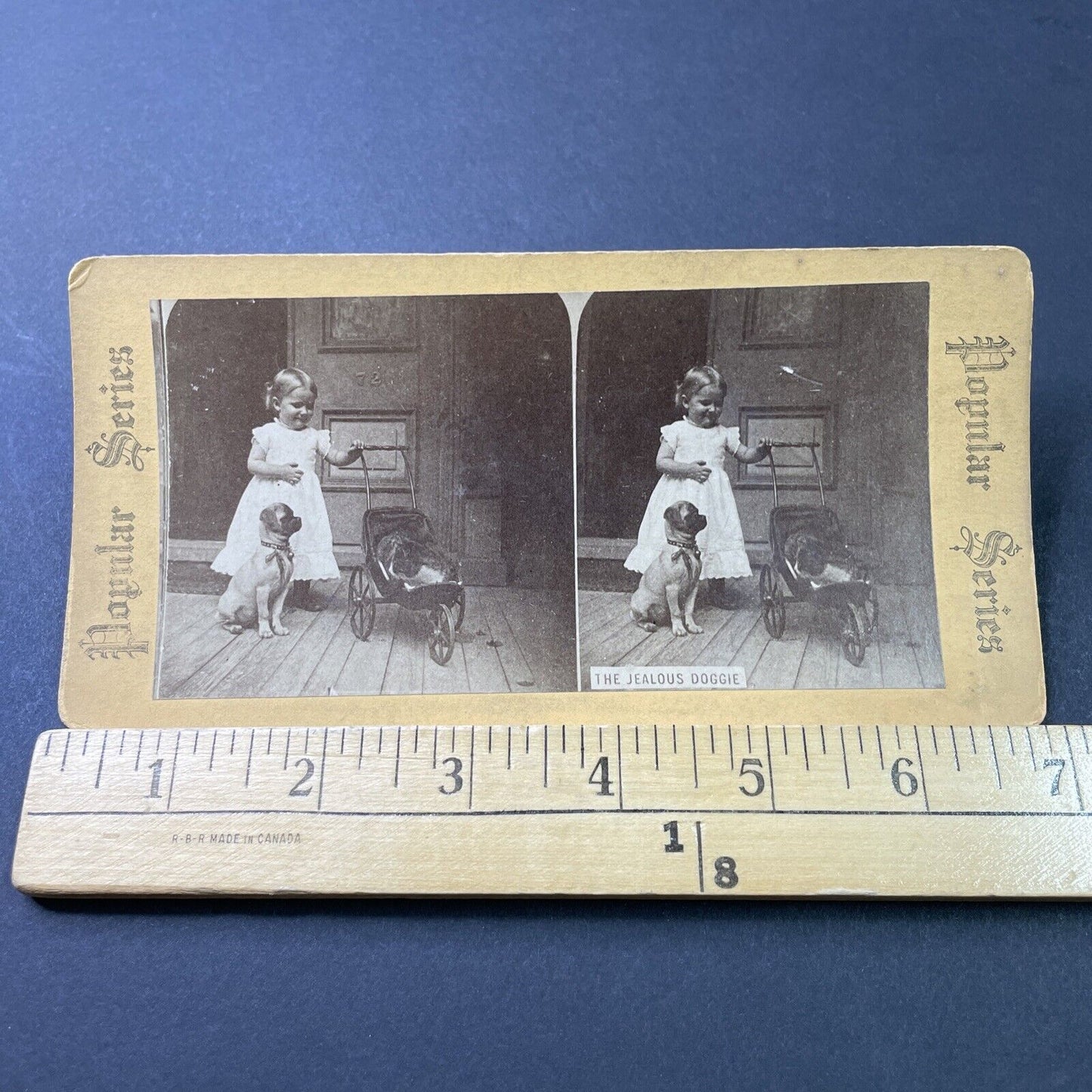 Antique 1880s Young Girl With A Cat In Baby Buggy Stereoview Photo Card P2877