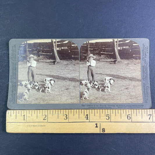 Boy Blows Fox Hunting Bugle With Puppies Stereoview Kansas Antique c1903 X3128