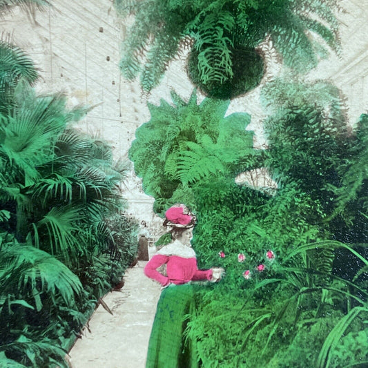 Antique 1900 The White House Greenhouse Washington DC Stereoview Photo Card 3919