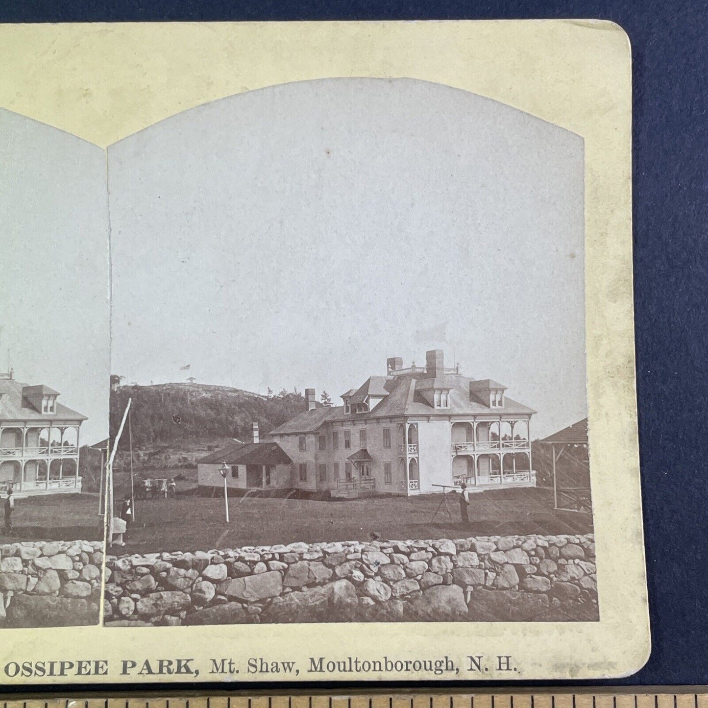 Crow's Nest Ossippee Park Mount Shaw Stereoview New Hampshire c1870s Y2267