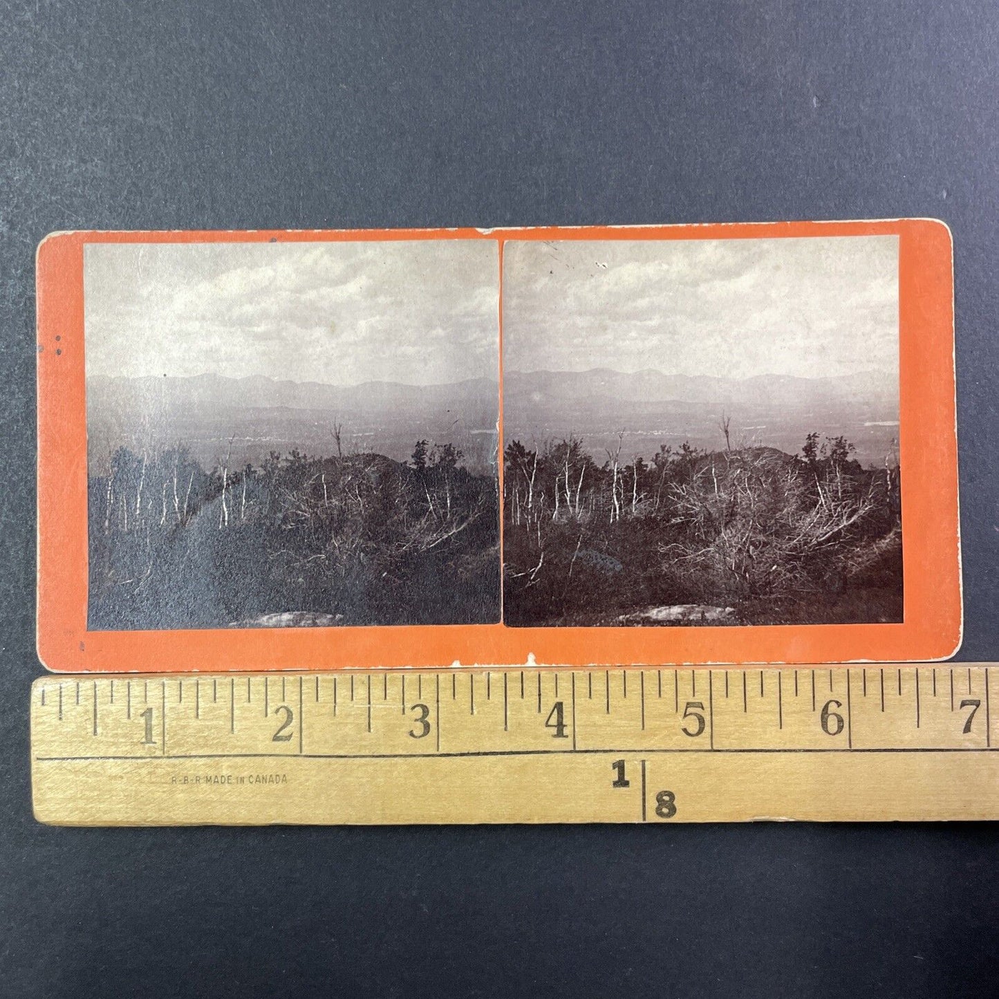 Center Sandwich Forest Fire Stereoview A.B. Hoag Photo Card Antique 1871 X892