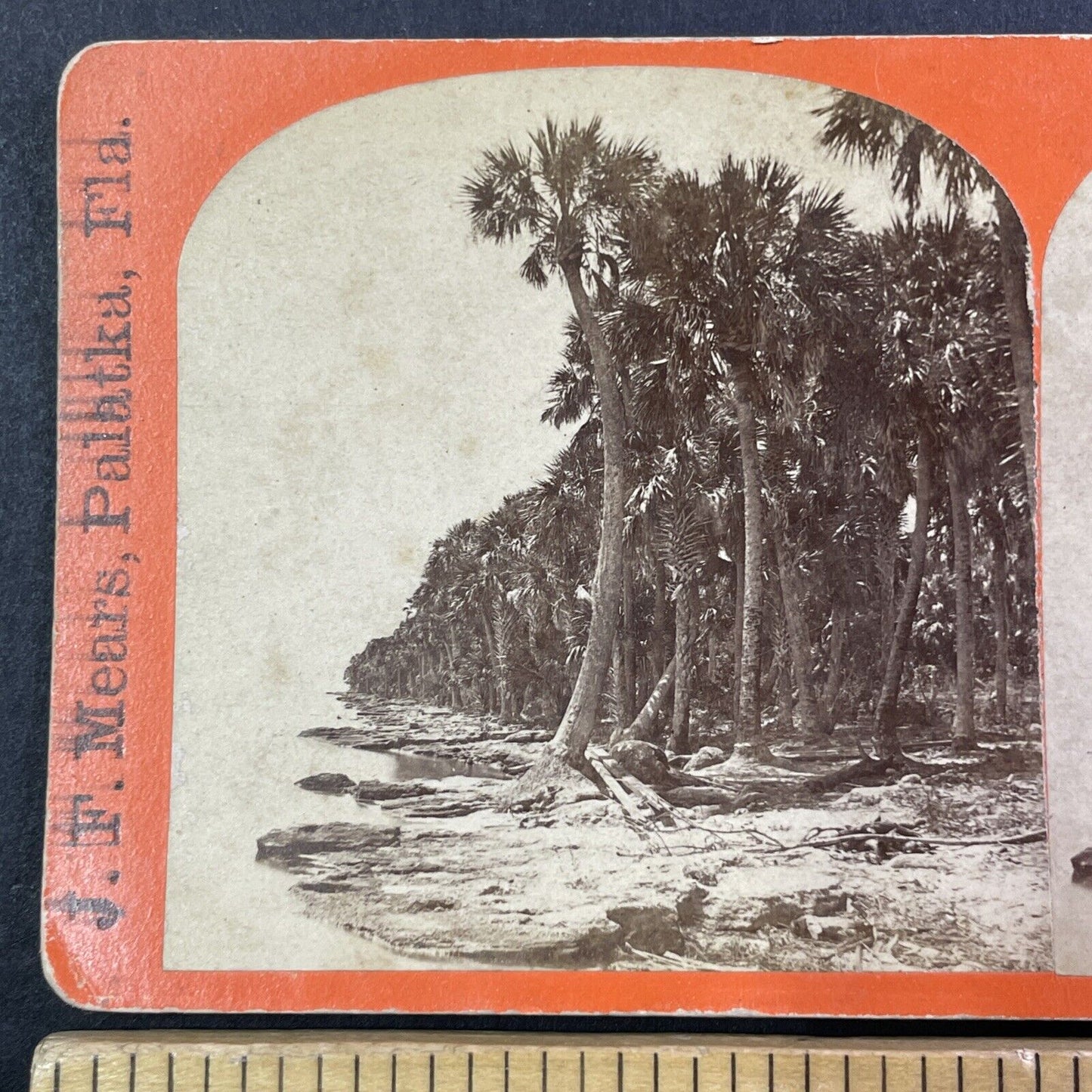 St. Johns River in Palatka Florida Stereoview J.F. Mears Antique c1870s Y050