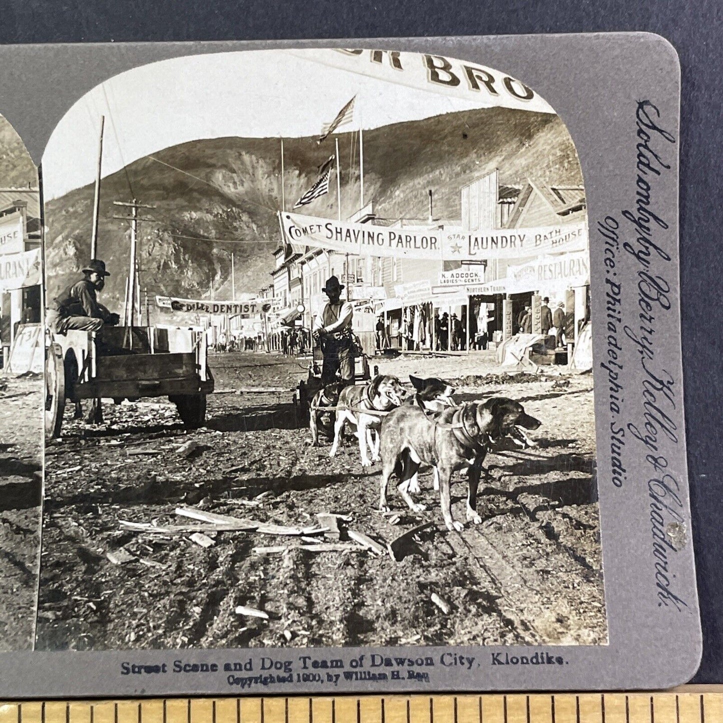 Dog Sled Team Dawson City Yukon Stereoview Gold Rush Town Antique c1900 X1845