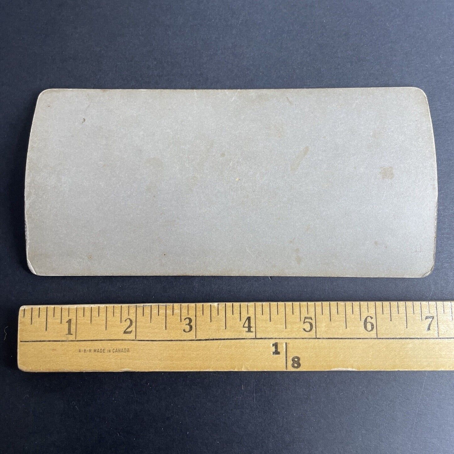 Antique 1901 Hunting Woodchucks & Possums For Dinner Stereoview Photo Card P1029