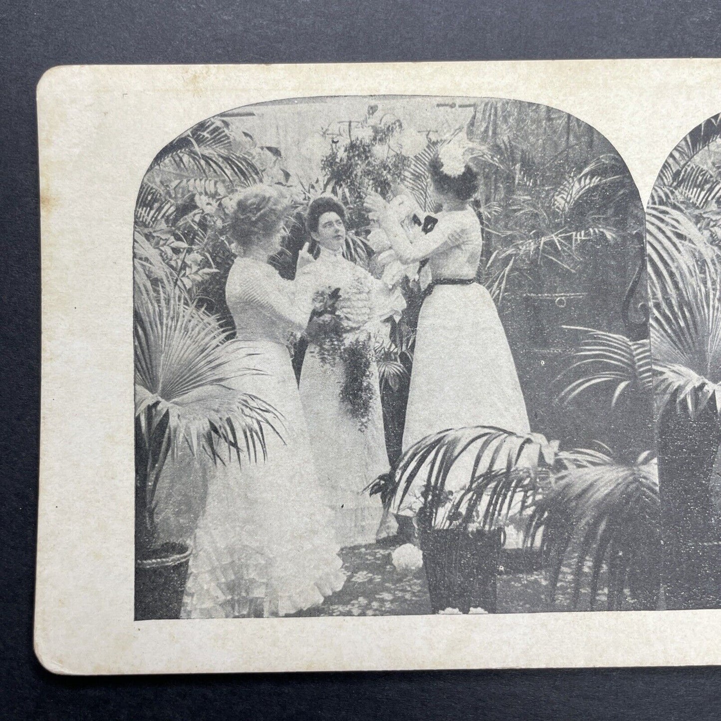 Antique 1905 Bridesmaids Decorating For Wedding Stereoview Photo Card P580-031