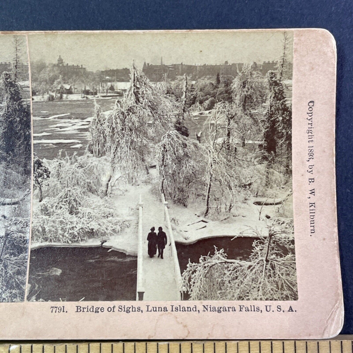 Pedestrian Bridge of Sighs Luna Island Stereoview Antique c1893 Y1862