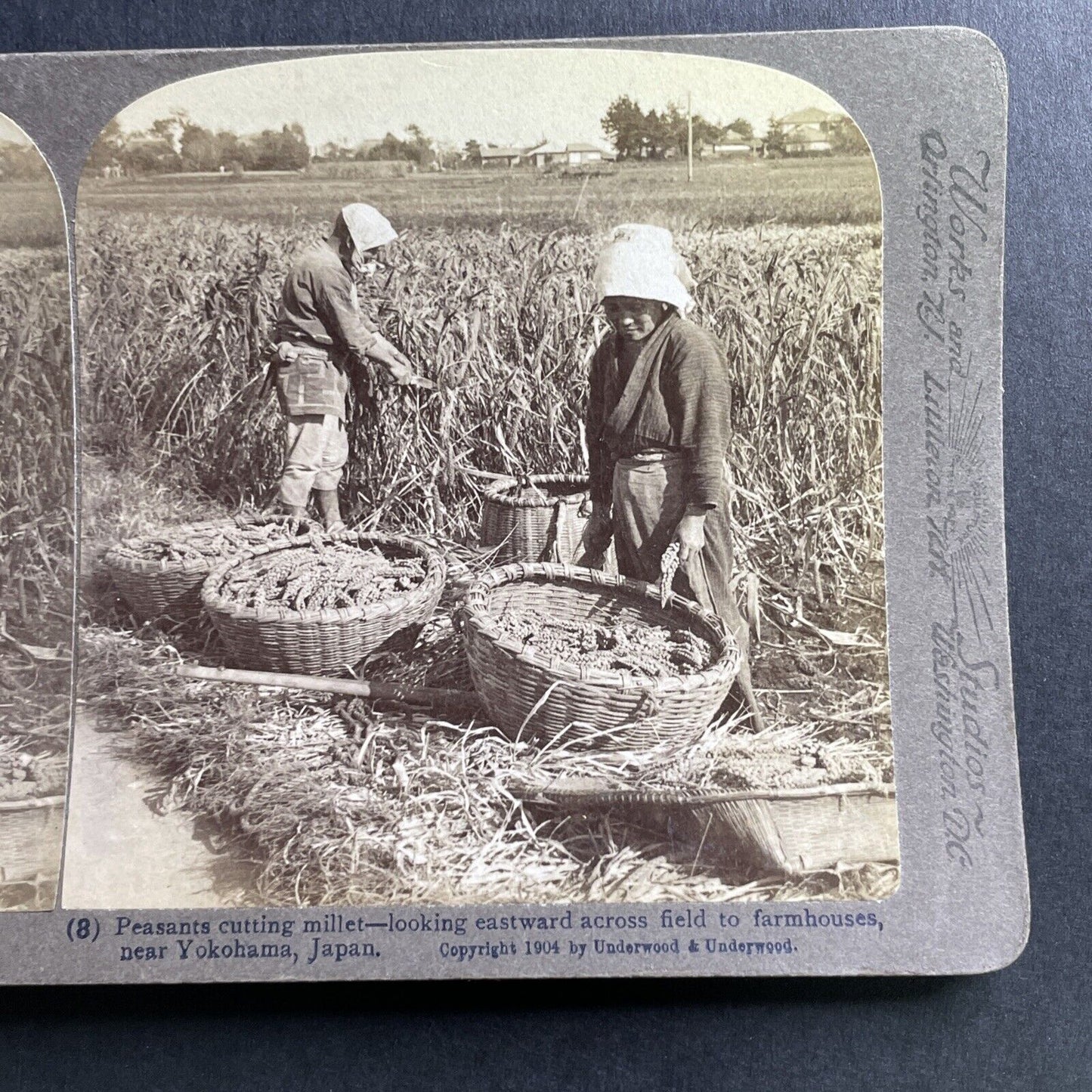 Antique 1904 Farmers Cutting Crop Yokohama Japan Stereoview Photo Card P1608