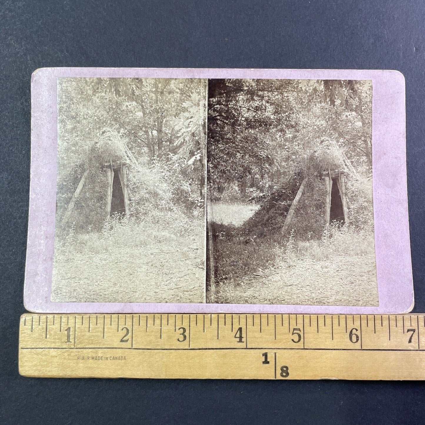 Overgrown American Indian Hut Stereoview Yosemite Charles Weed Antique 1860 X838