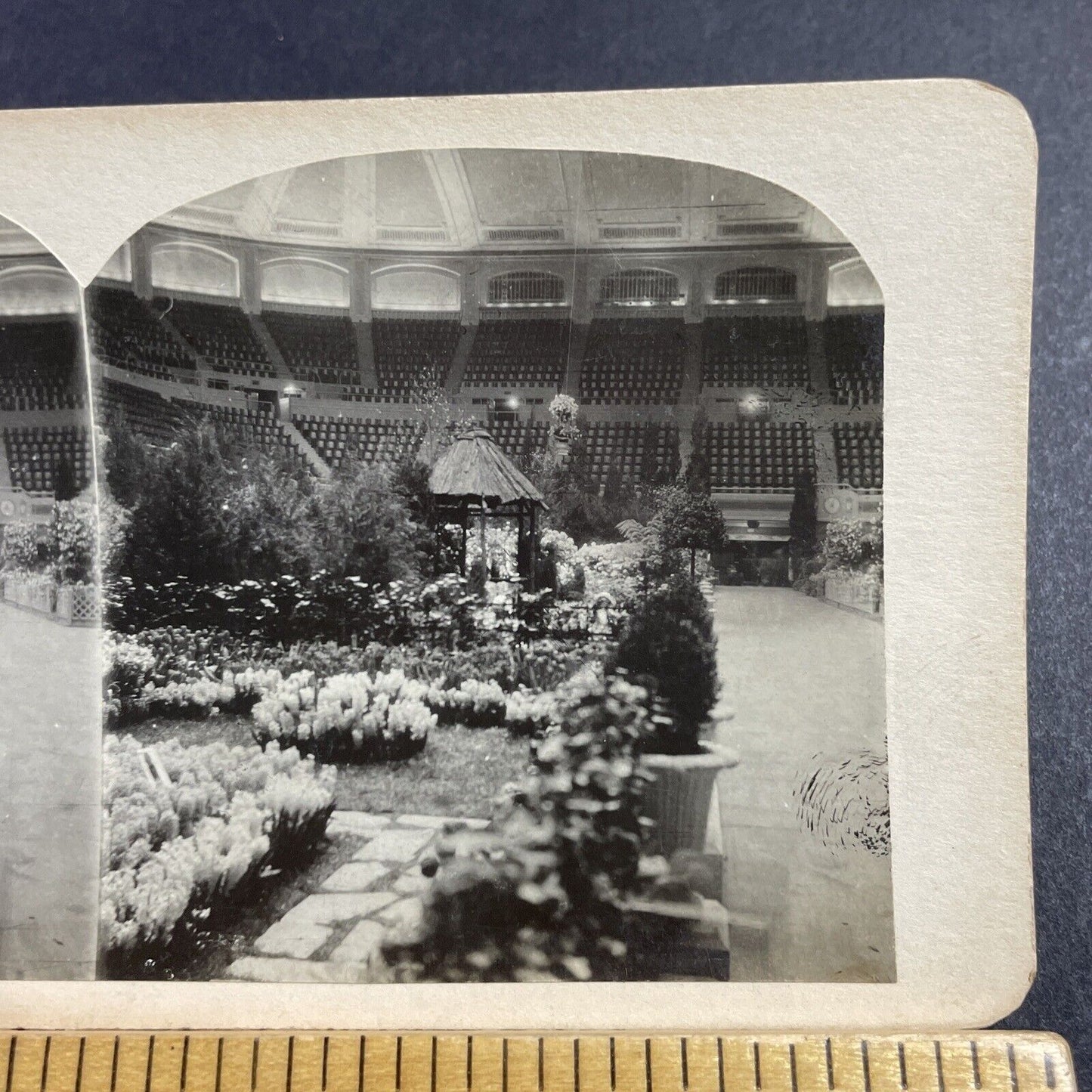 Antique 1870s Inside Madison Square Garden NYC Stereoview Photo Card P856-10