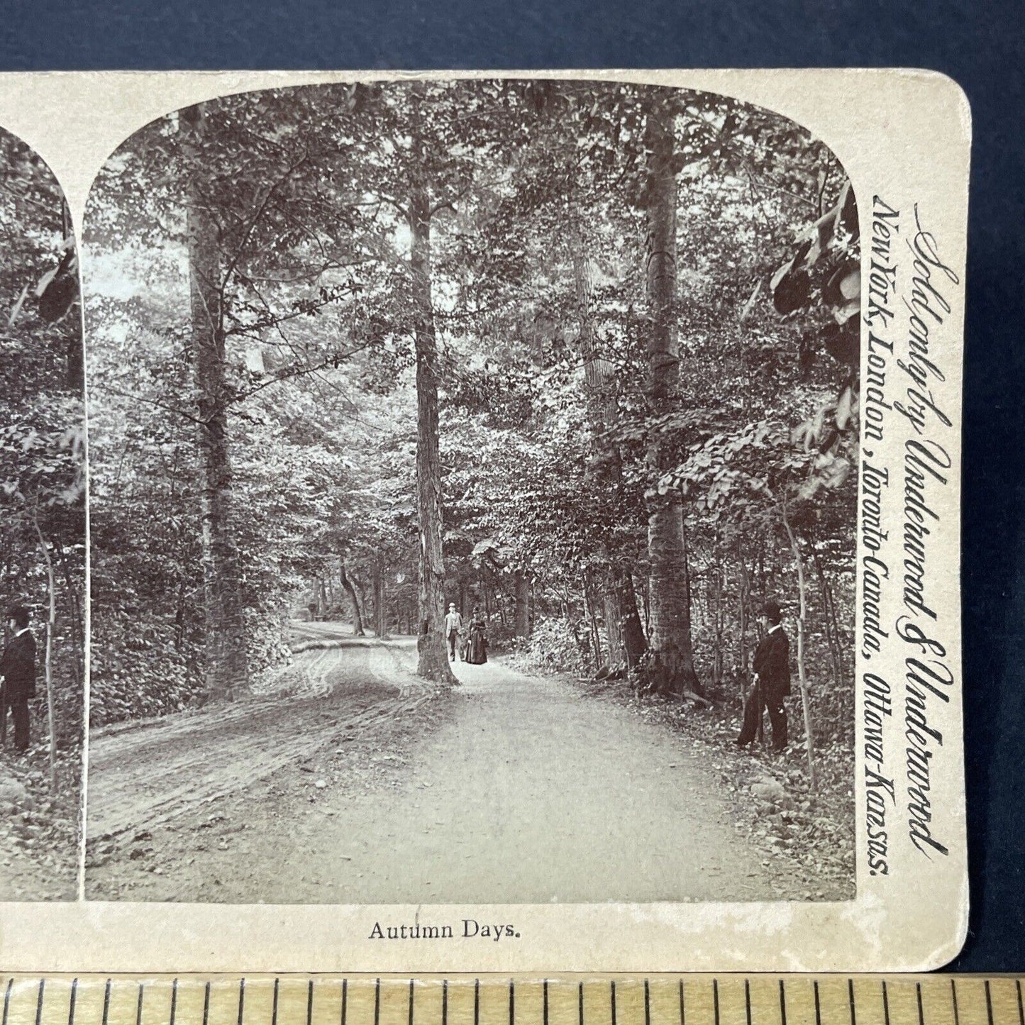 Antique 1880s Central Park Walk New York City Stereoview Photo Card P3476