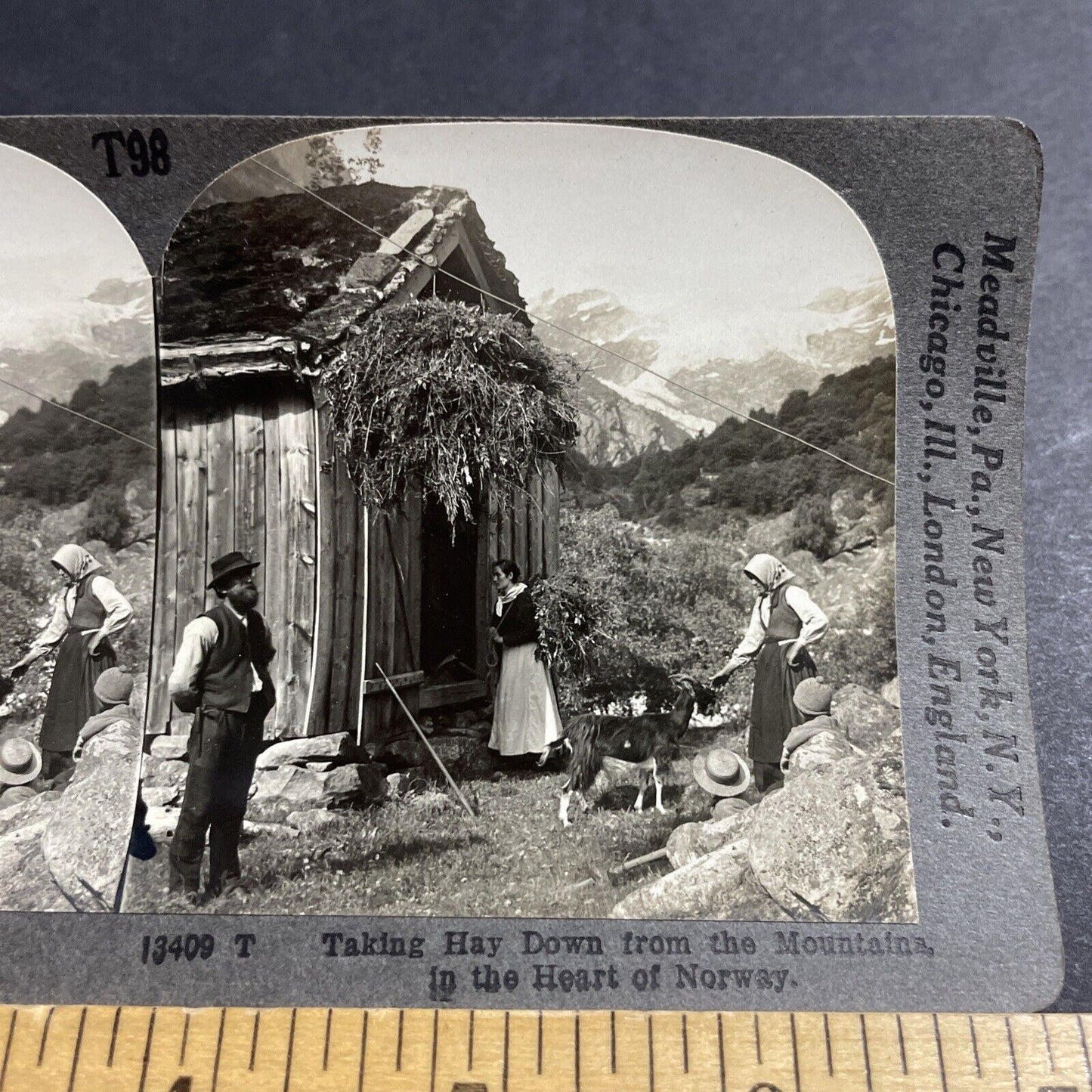 Antique 1910s A Zipline In Northern Norway Stereoview Photo Card P5182