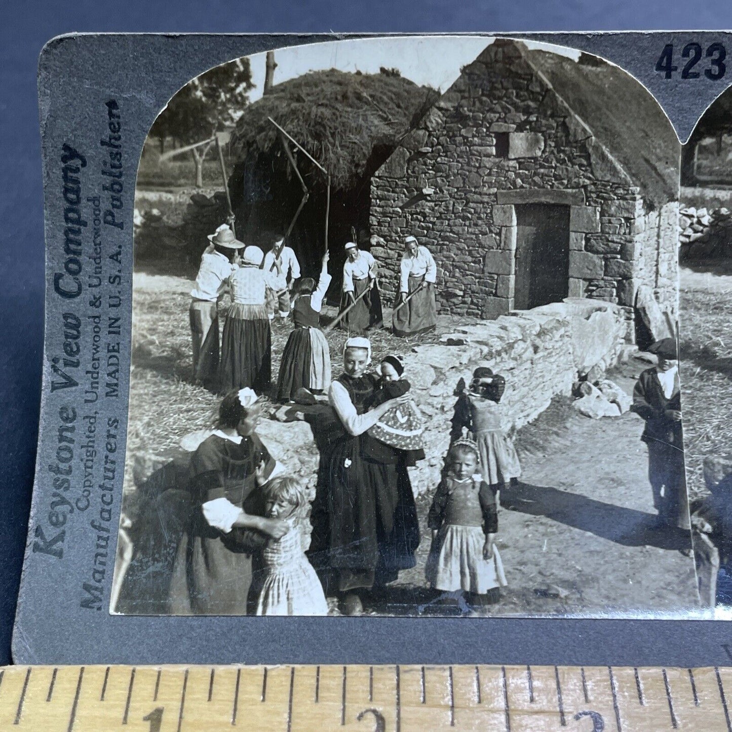 Antique 1909 Women Threshing Wheat Plozevet France Stereoview Photo Card P1940