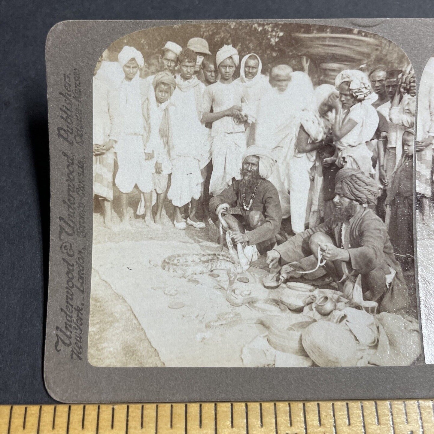 Antique 1903 Snake Charmers Hold Poisonous Snakes Stereoview Photo Card P5653