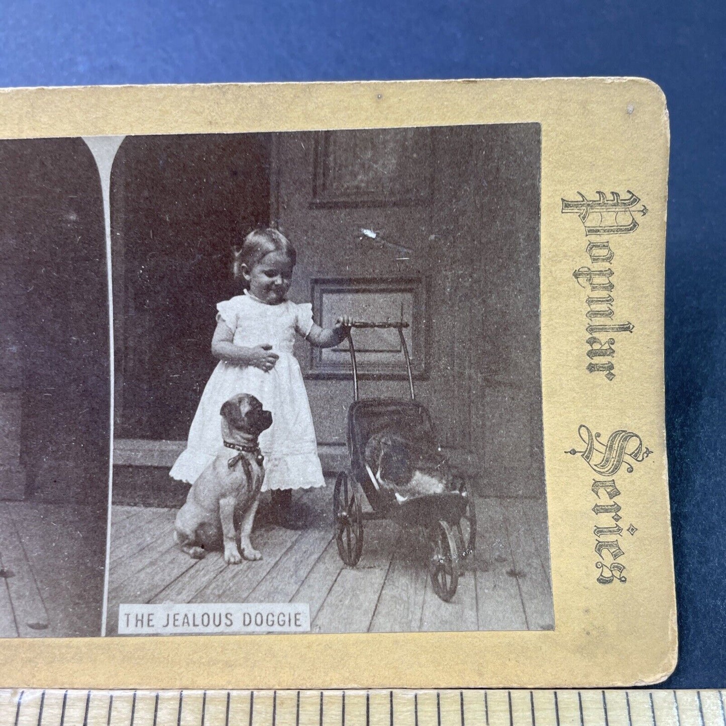 Antique 1880s Young Girl With A Cat In Baby Buggy Stereoview Photo Card P2877