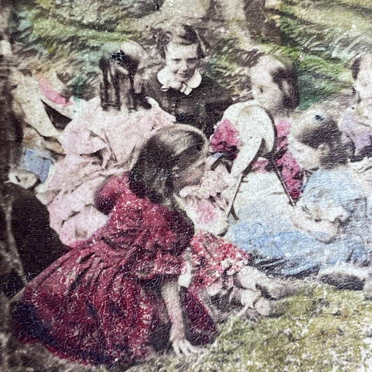 Antique c1840s French Picnic In Ancient Forest Stereoview Photo Card PC827