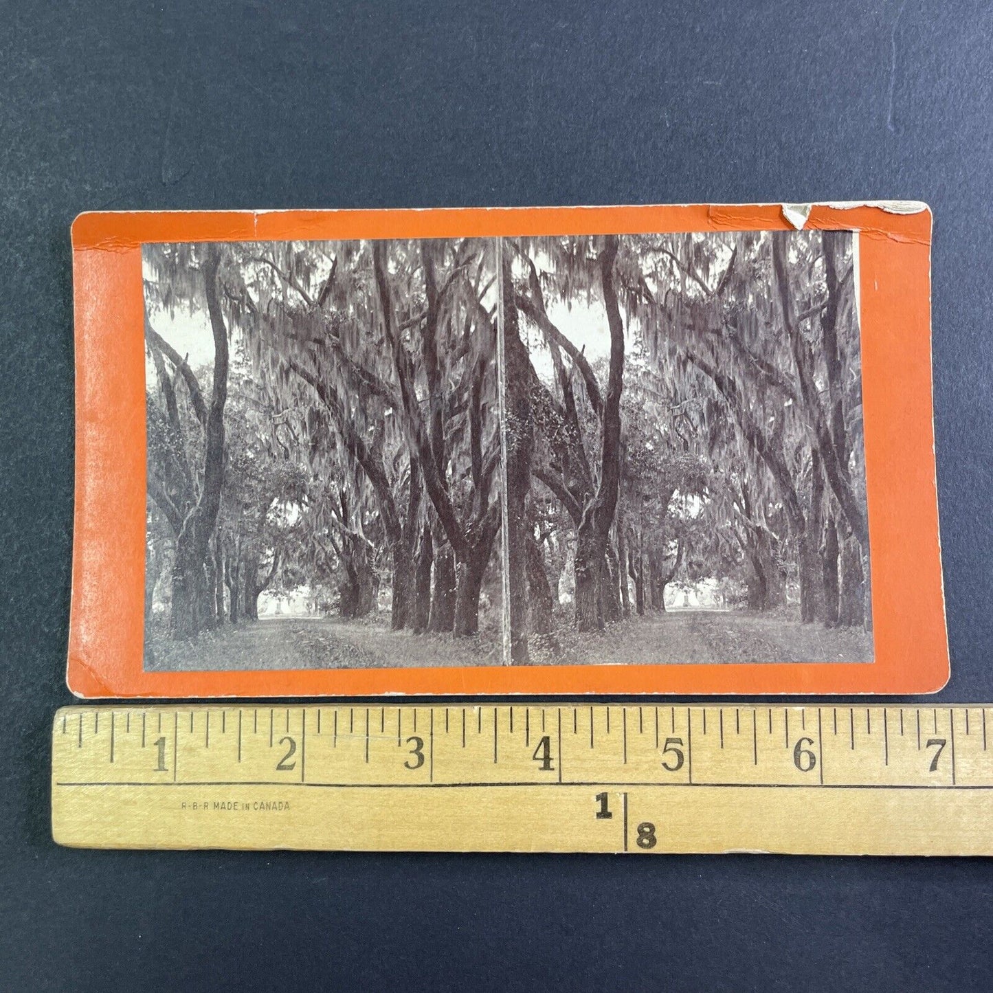 Bonaventure Cemetery Savannah GA Stereoview JA Palmer Antique c1866 X3280