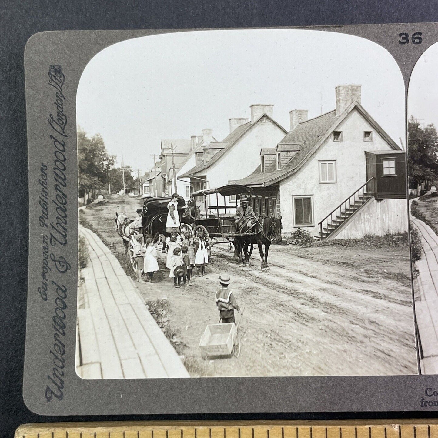 Chemin Royal Quebec City Canada Stereoview Beauford Road c1903 Y1712