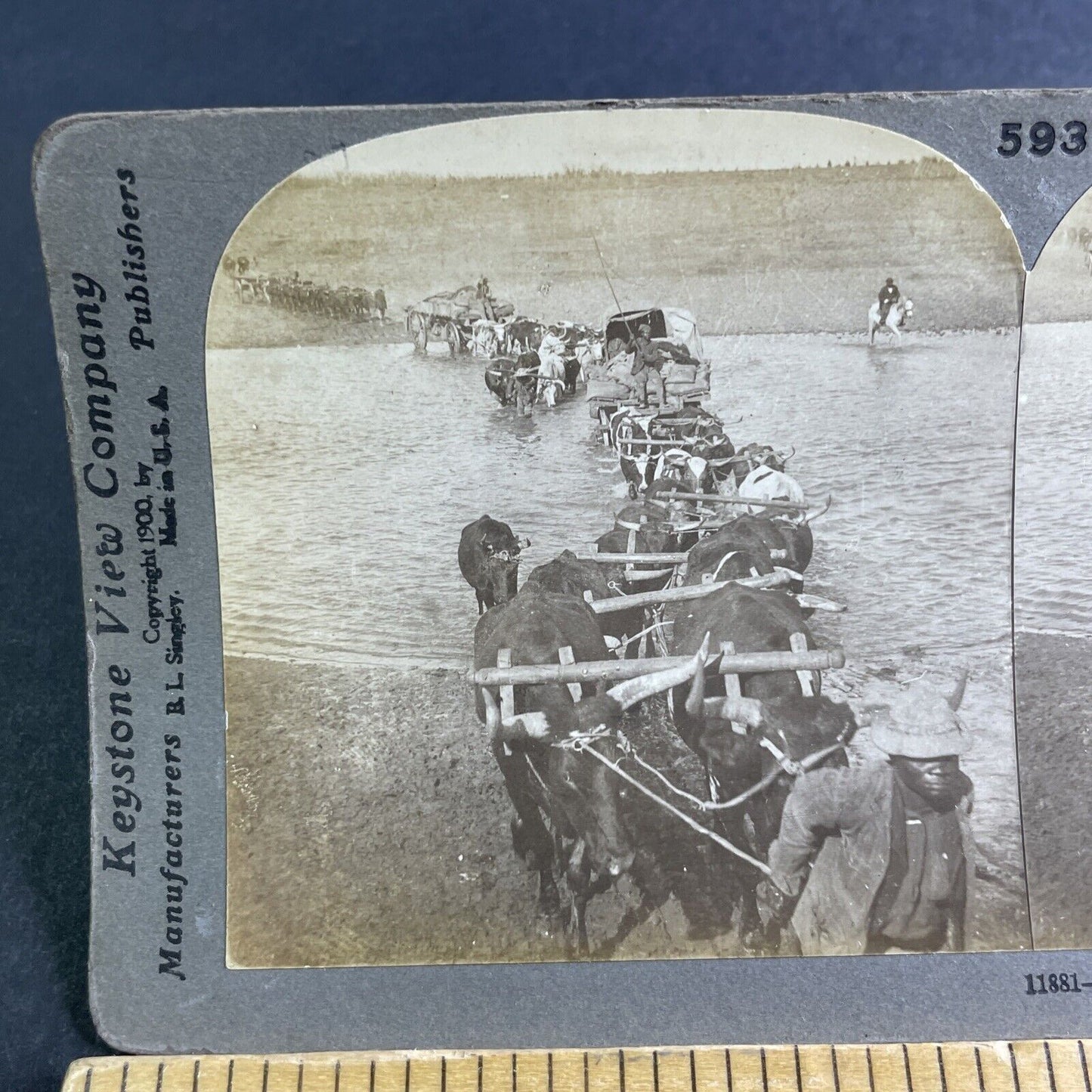 Antique 1900 Viljoensdrift Robertson South Africa Stereoview Photo Card P2140