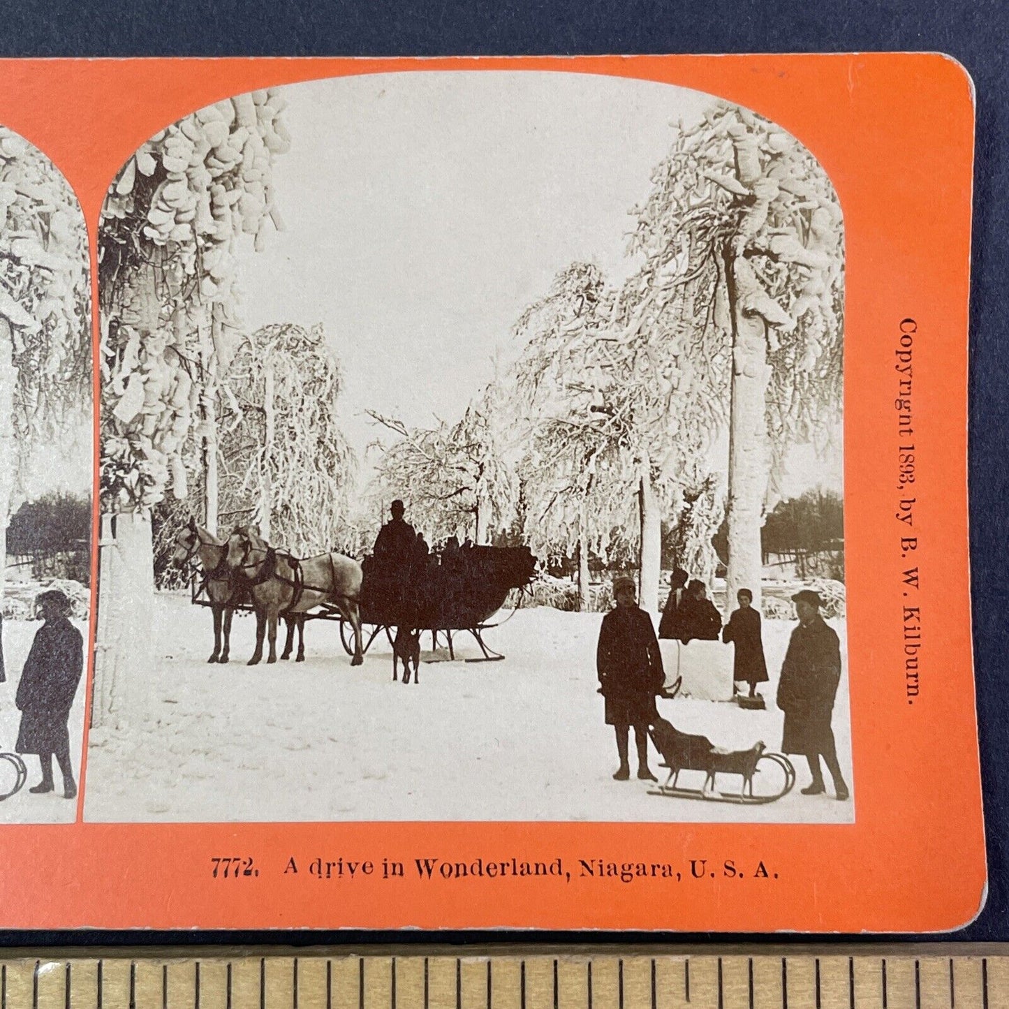 Winter Sleigh Ride in Prospect Park Niagara Falls Stereoview Antique c1893 Y1866