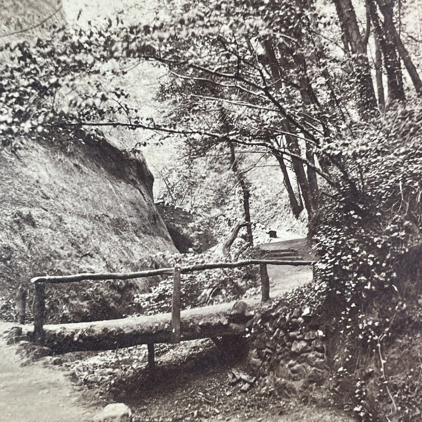 Shanklin Chine Isle Of Wight England Stereoview UK Antique c1870 X3673