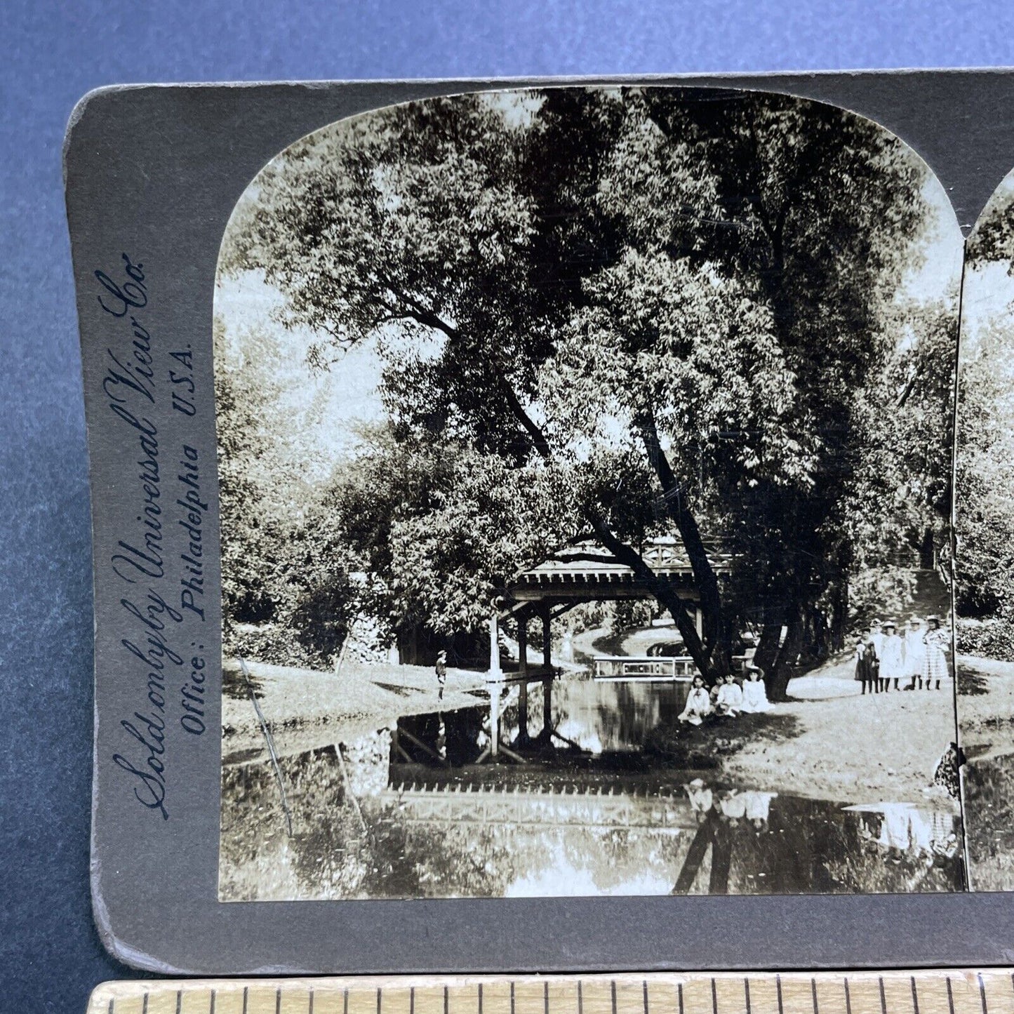 Antique 1906 Lincoln Park Chicago Illinois Stereoview Photo Card V3586