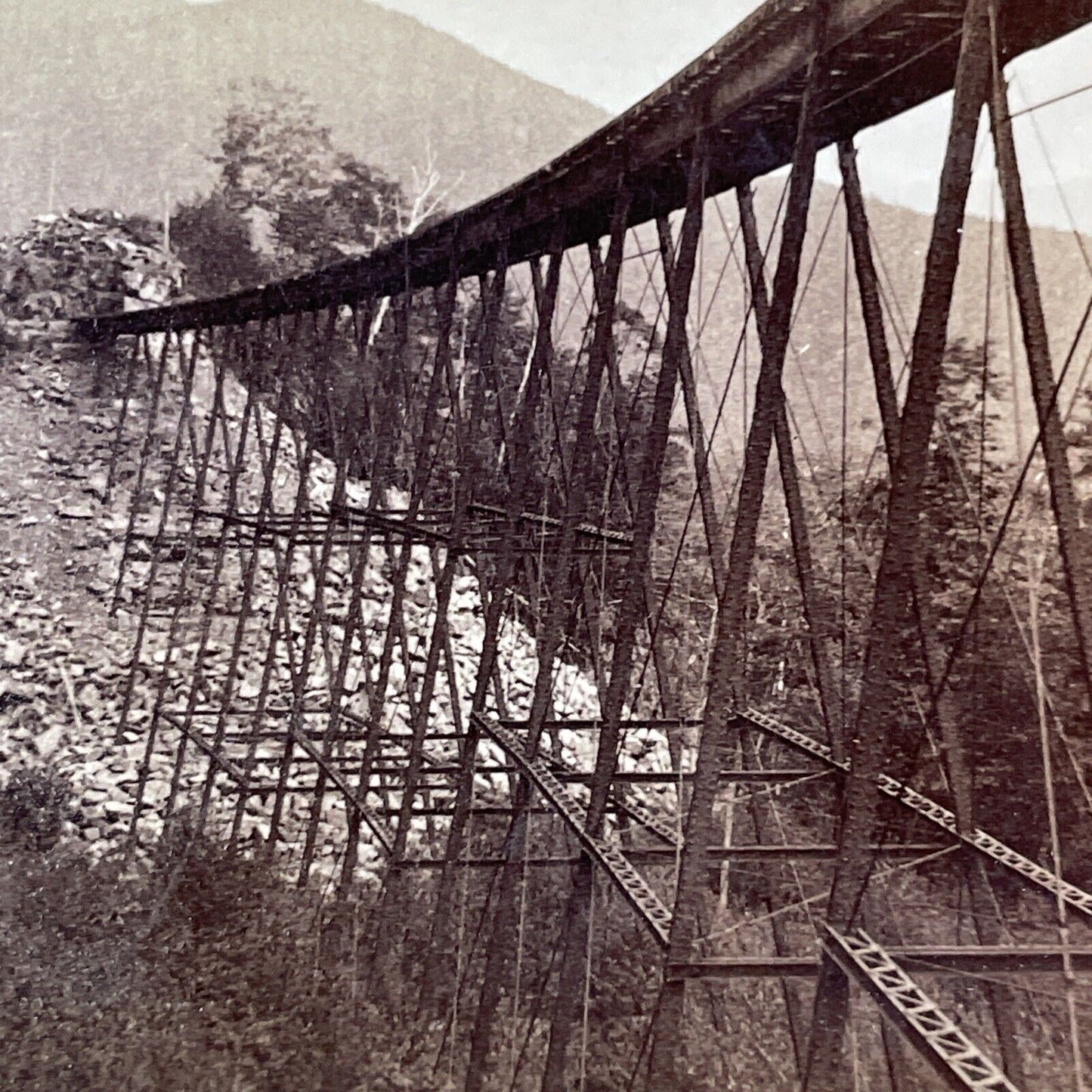 Frankenstein Train Trestle Bridge Stereoview Railroad Photo Antique c1875 X922