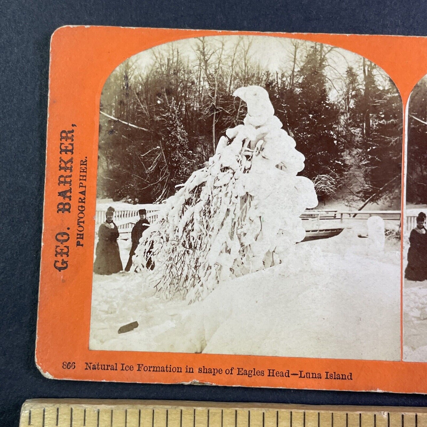 Eagle Head Tree on Luna Island New York Stereoview George Barker c1870 Y2539