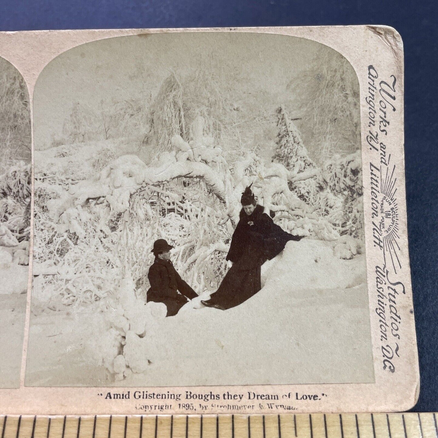 Antique 1895 The Great Freeze Gulf Blizzard Snowstorm Stereoview Photo Card 4092