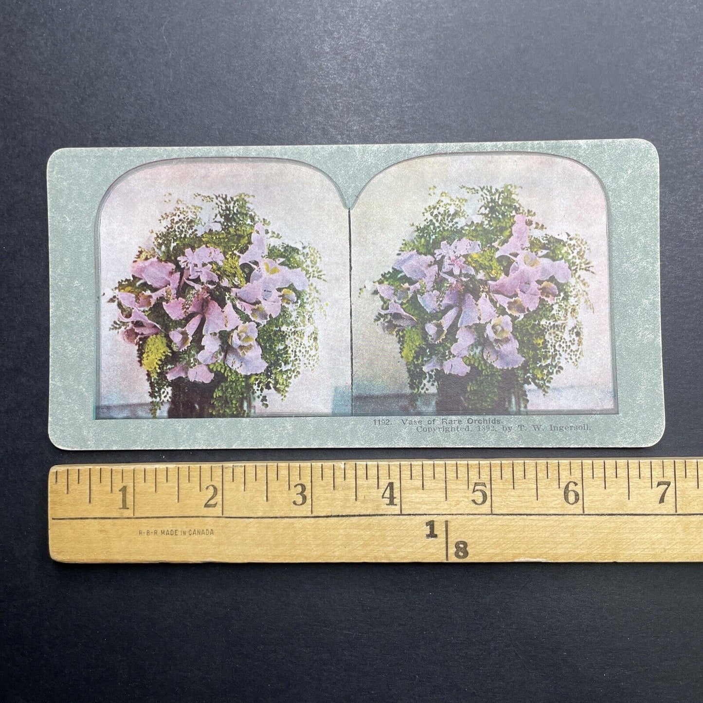 Antique 1892 Bouquet Of Rare Orchids Stereoview Photo Card P1221