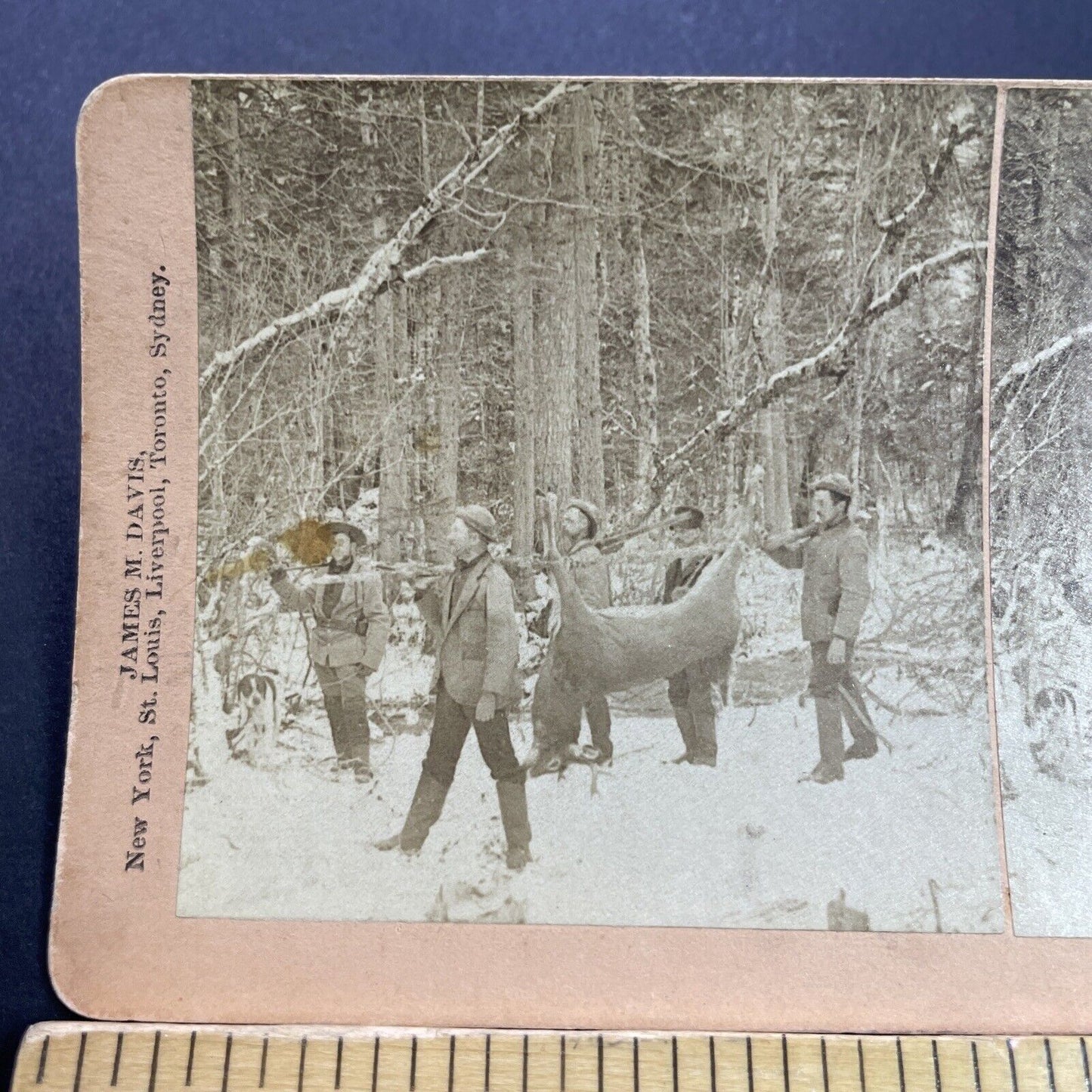 Antique 1888 Men Carry Large Buck Deer Hunting Hunt Stereoview Photo Card P3511