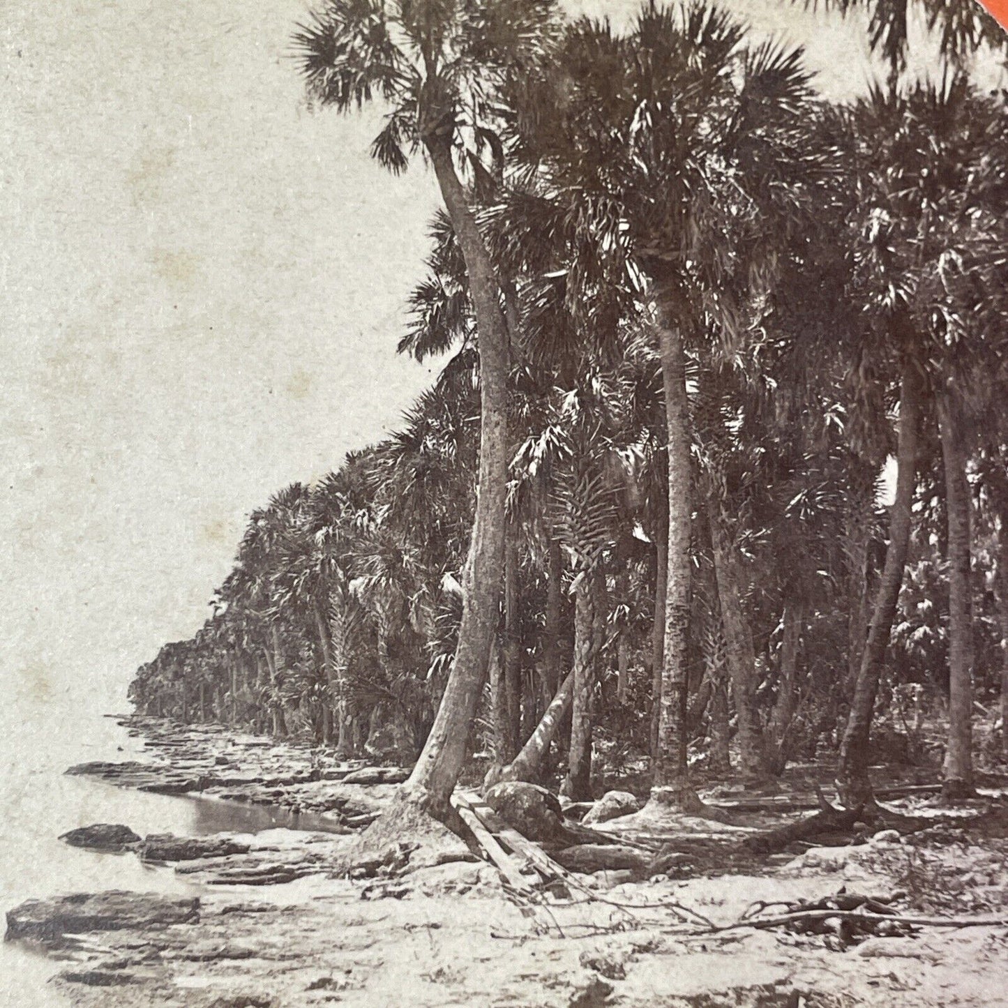 St. Johns River in Palatka Florida Stereoview J.F. Mears Antique c1870s Y050