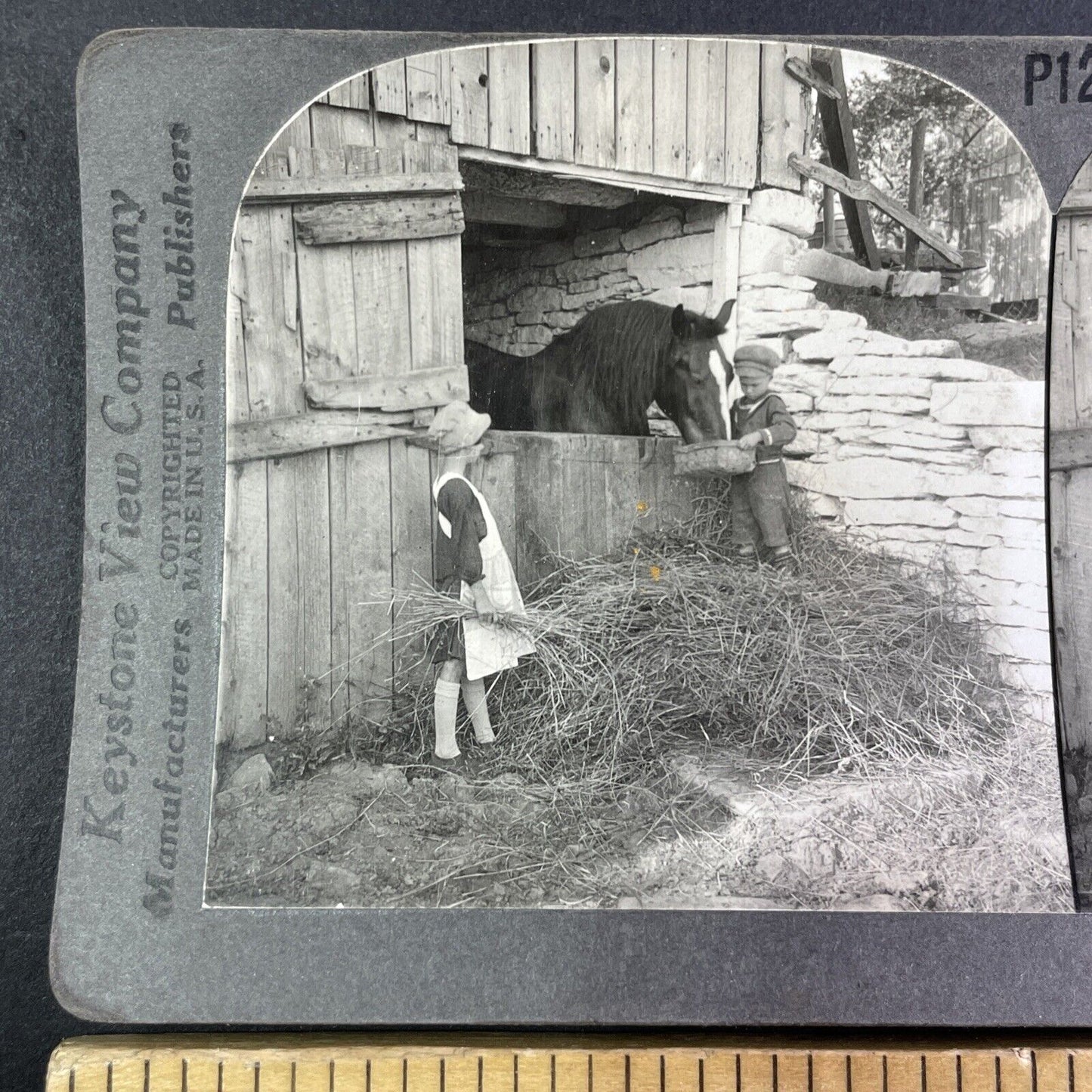 Children Feeding a Horse Stereoview Scarce Late View Antique c1935 Y1251