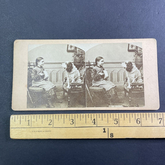 Young Girl Feeds a Dog Some Bread Stereoview Antique c1860s Y112