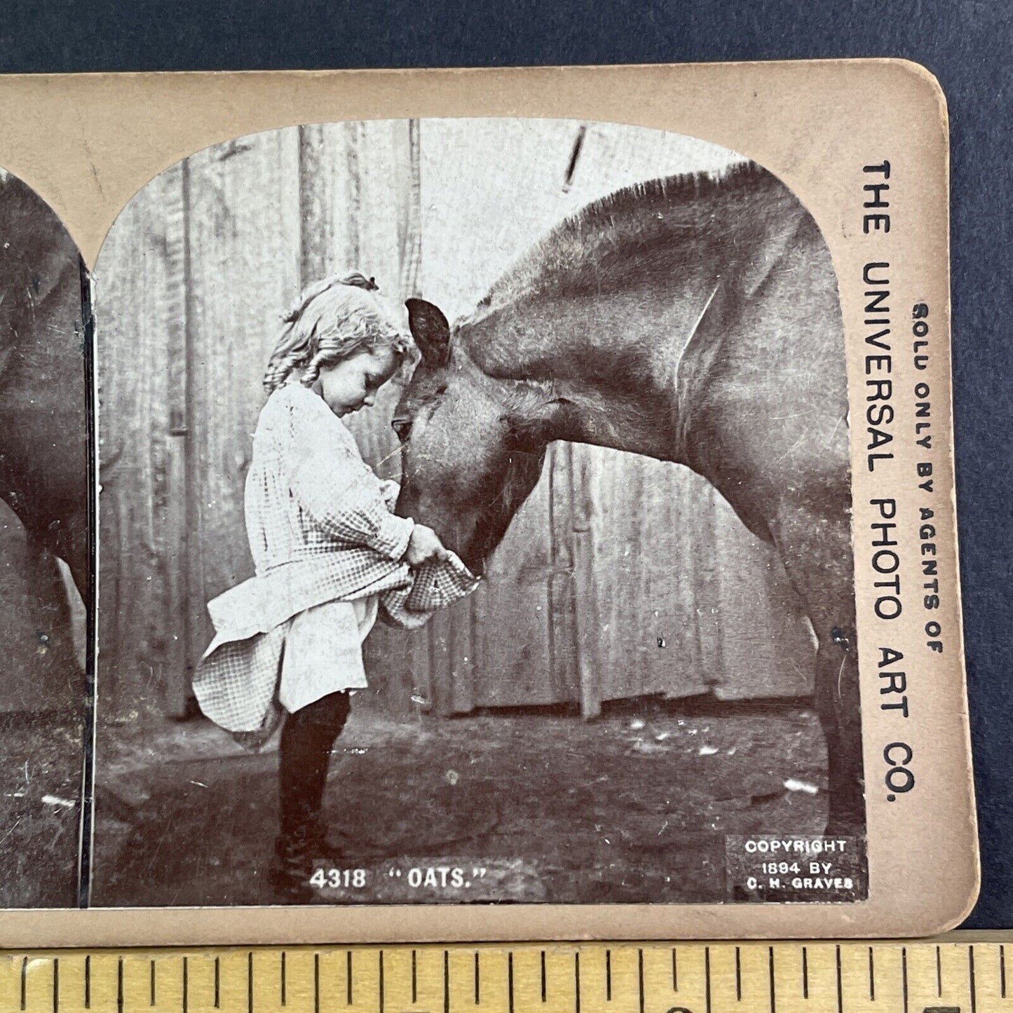 Girl Feeding Horse Oats Stereoview 16.66 Cent Backstamp Antique c1894 X2831