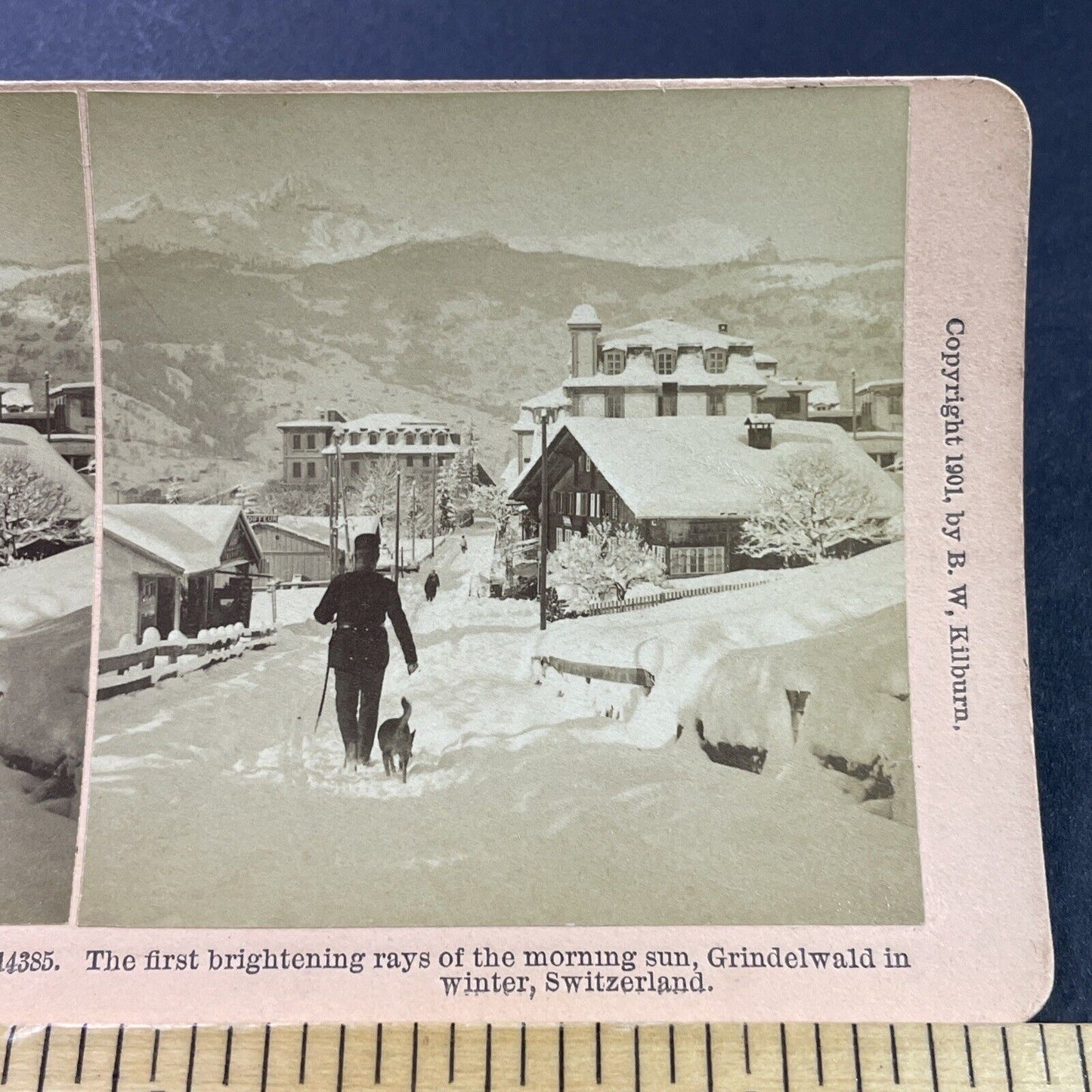 Antique 1901 Man Walks Dog In Deep Snow Switzerland Stereoview Photo Card P3954