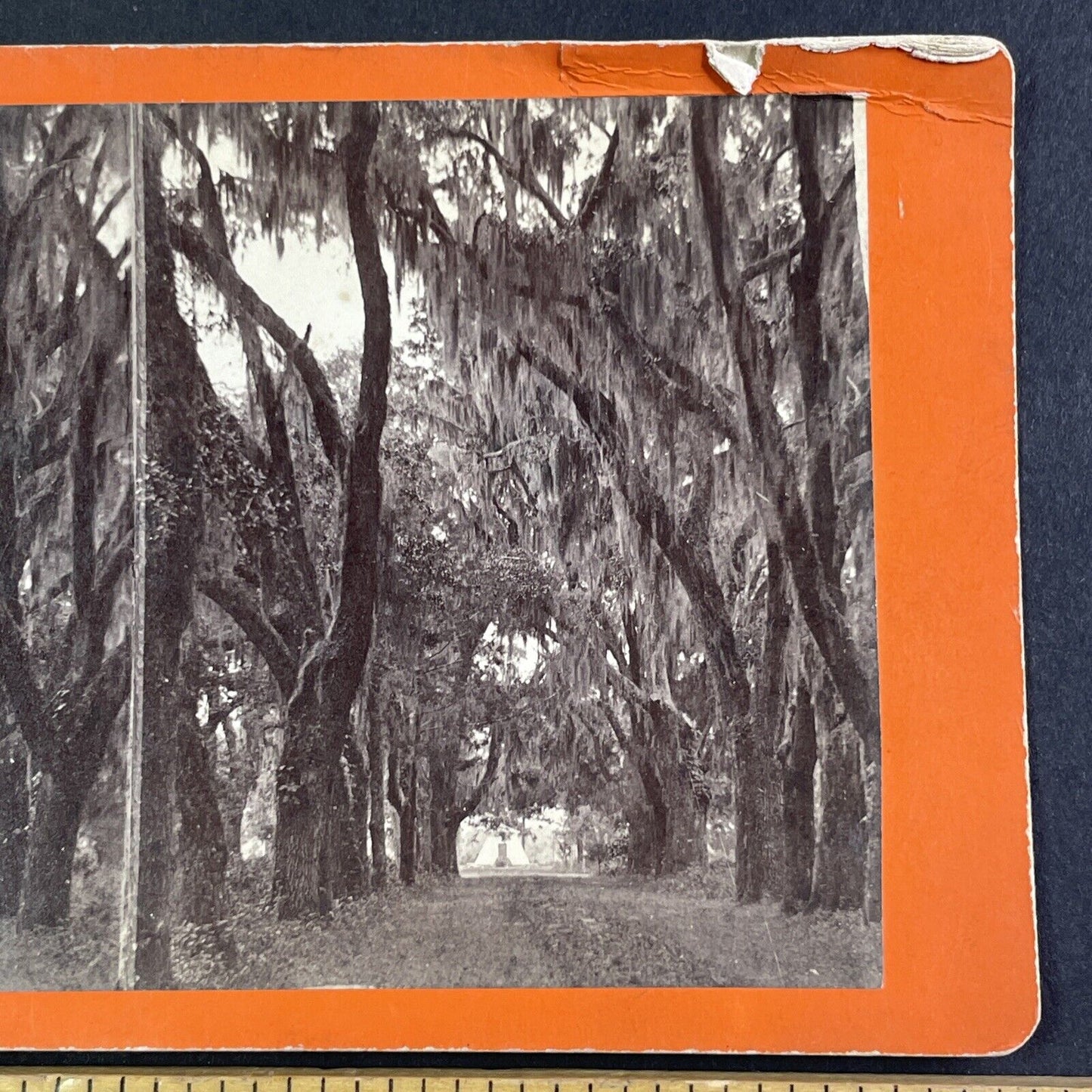 Bonaventure Cemetery Savannah GA Stereoview JA Palmer Antique c1866 X3280