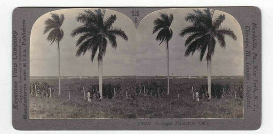 Antique 1932 Sugar Plantation & Sugar Refinery Cuba Stereoview Stereo Card P130