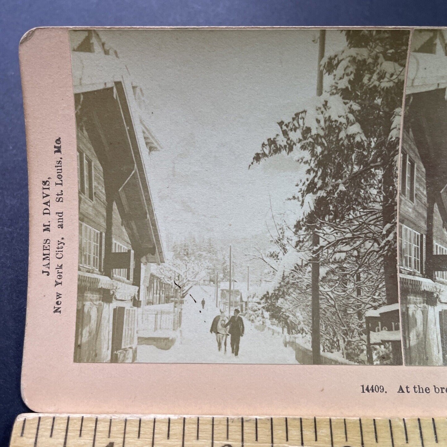 Antique 1901 Snowstorm In Grindelwald Switzerland Stereoview Photo Card P3914