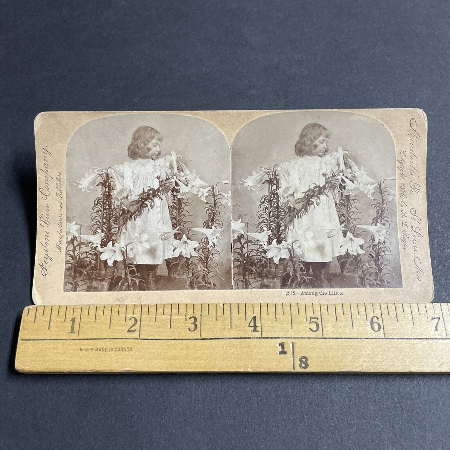 Antique 1896 A Child Poses With Lilies Lily Flowers Stereoview Photo Card P4751