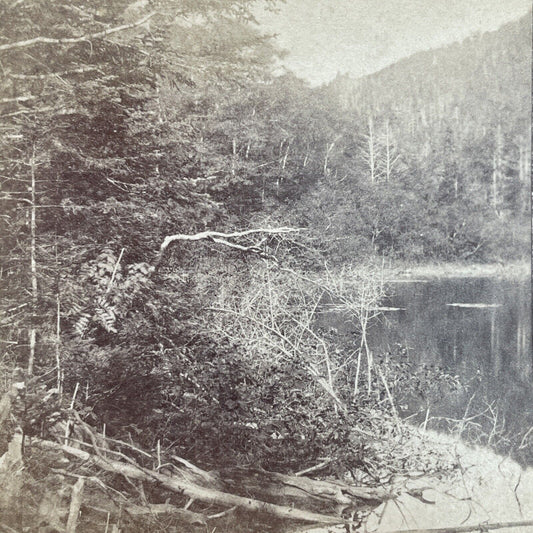 Antique 1860s Profile Lake Franconia New Hampshire Stereoview Photo Card V1705