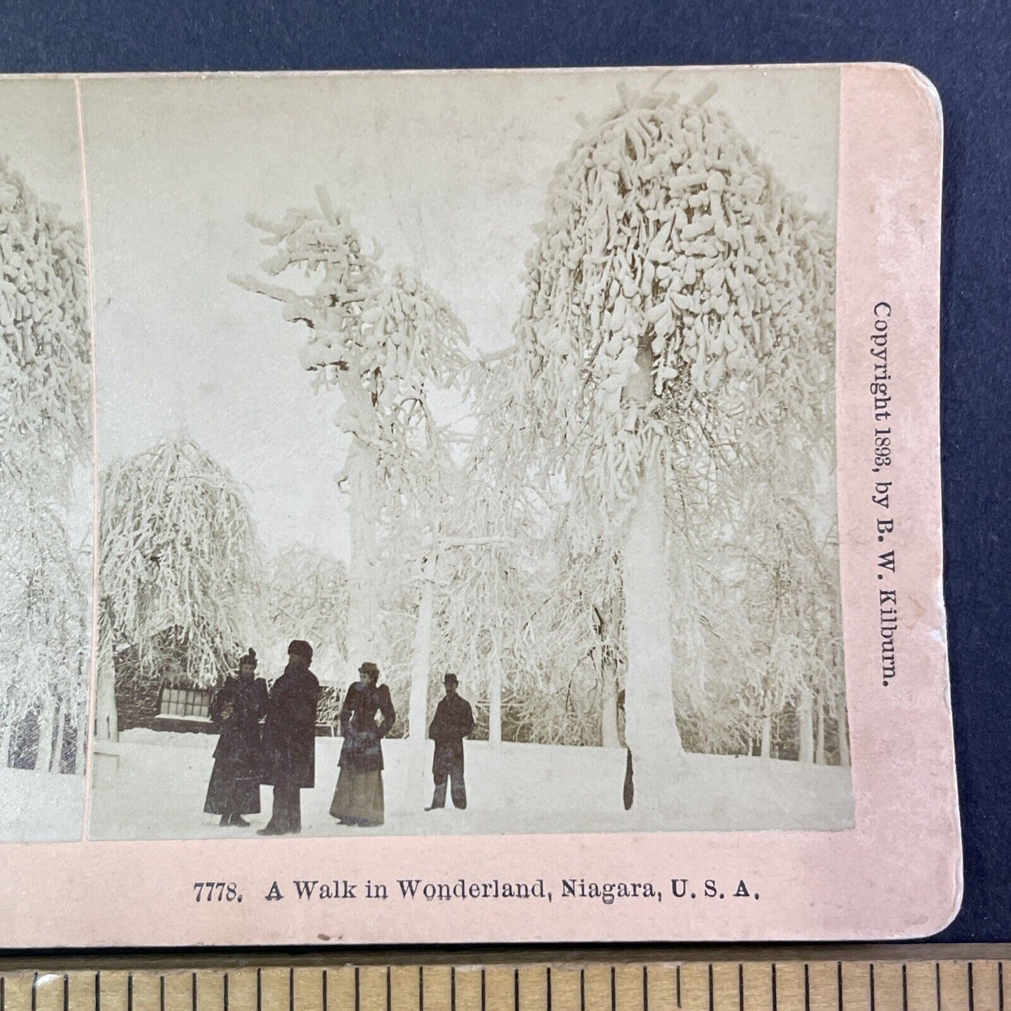 Ice Frozen Trees Niagara Falls New York Stereoview Antique c1893 Y1860