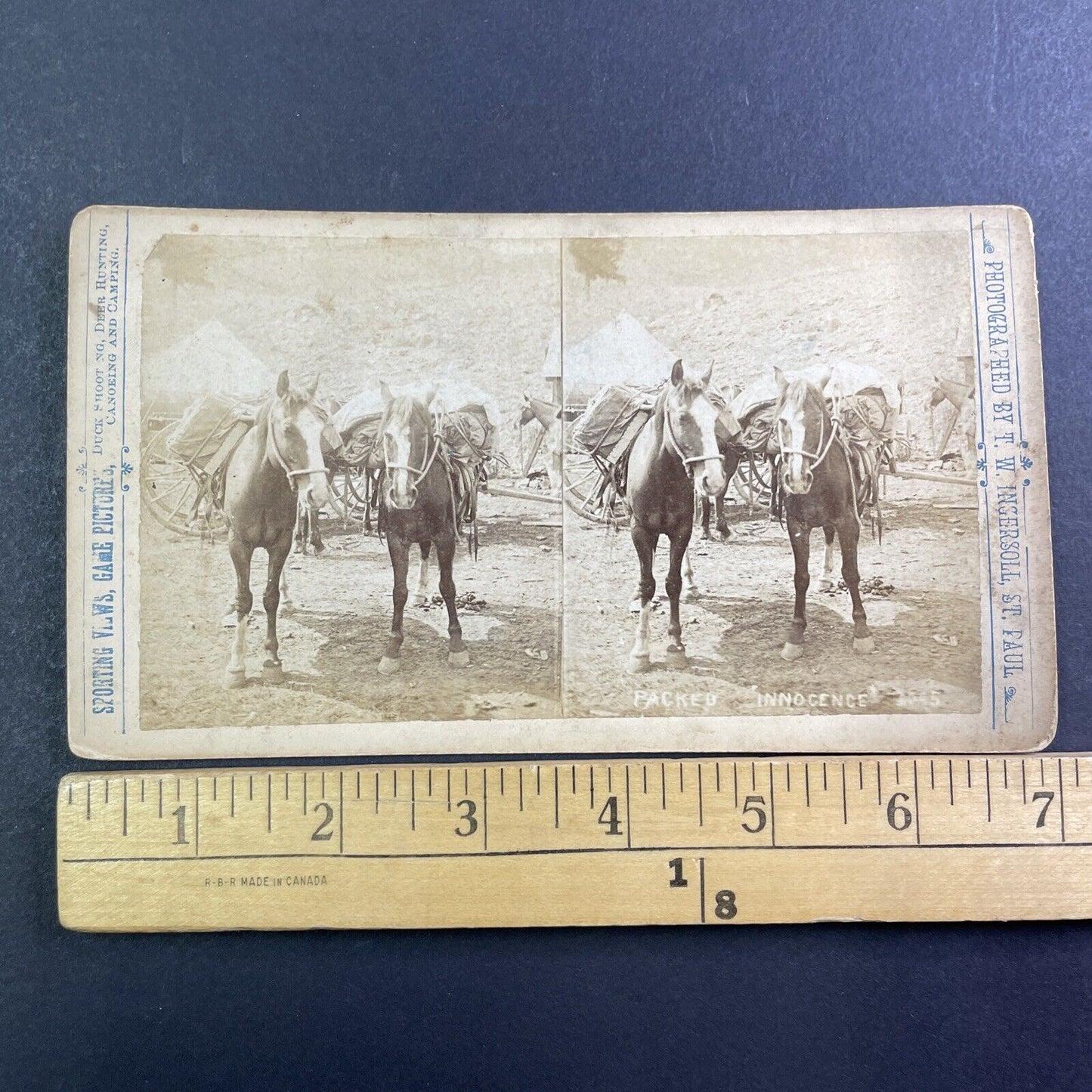 T.W. Ingersoll's Pack Horses Stereoview T.W. Ingersoll Antique c1888 Y428