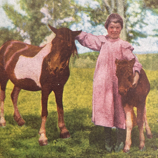 Antique 1899 Child With Her Ponies Pony Horse Stereoview Photo Card P580-016