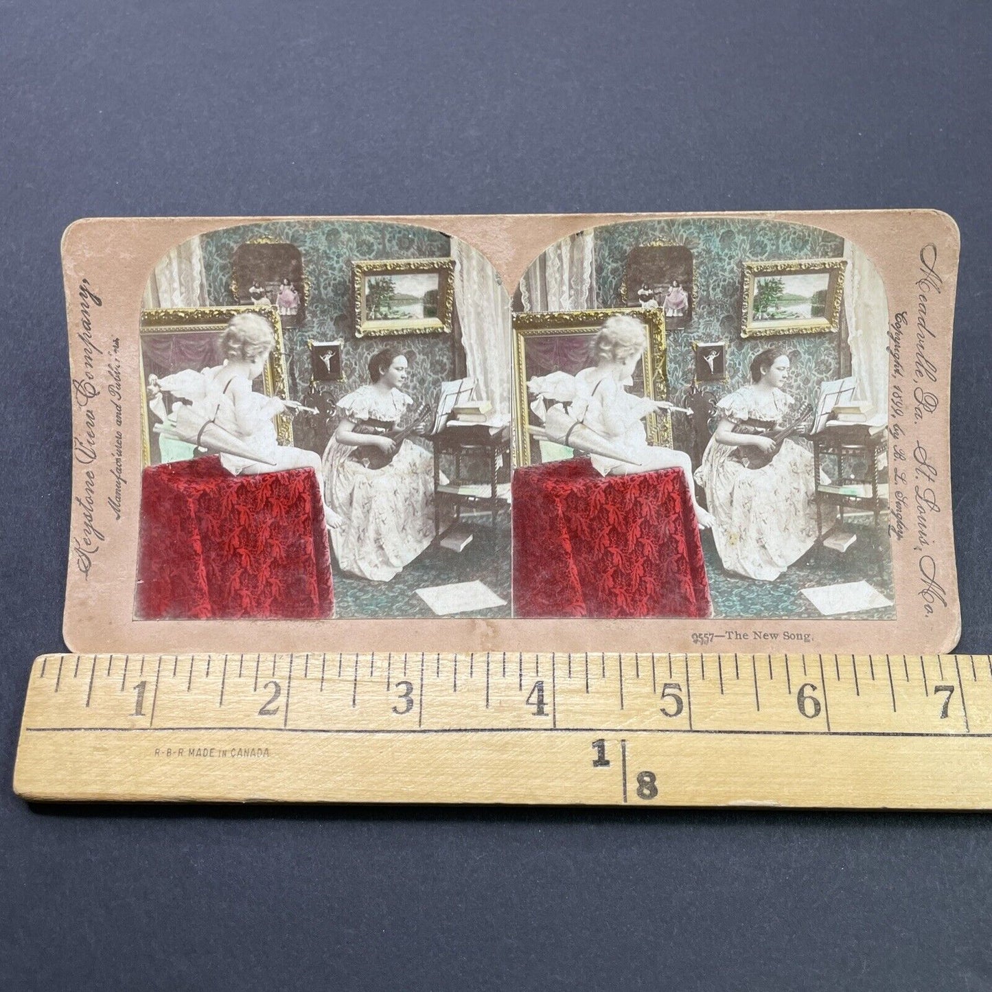 Antique 1899 Woman Plays Ukulele For Child Stereoview Photo Card P2681