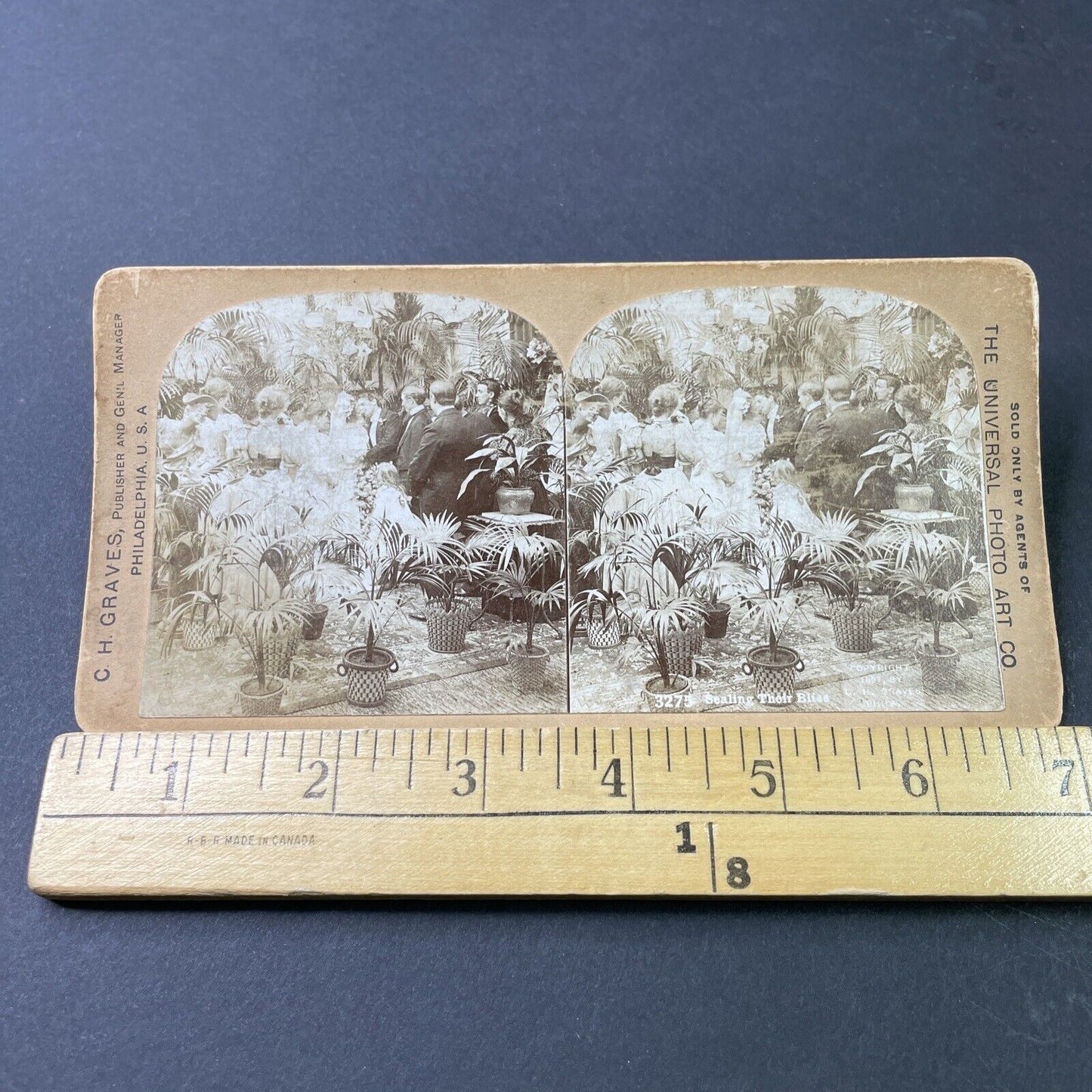 Antique 1897 Victorian Wedding Kiss At Alter Stereoview Photo Card P2985